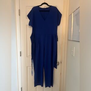 Express V-Neck Tie Waist Straight Leg Jumpsuit Cobalt Blue XL
